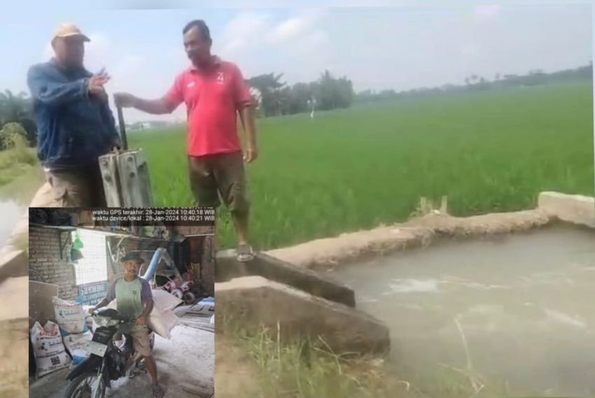 Kisruhnya Perbincangan Kondisi Sawah Disebut Kekeringan dan Pupuk Langka, Ini Kata Pejabat Distanbun Batu Bara
