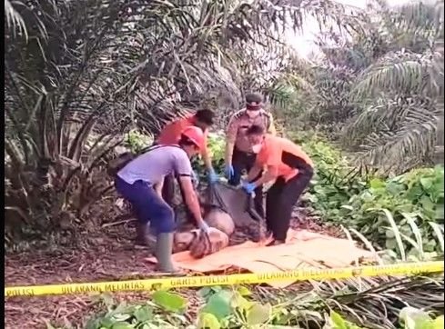 Mayat Yang Ditemukan di Areal Perkebunan PT Socfindo Ternyata Parindungan Simangunsong