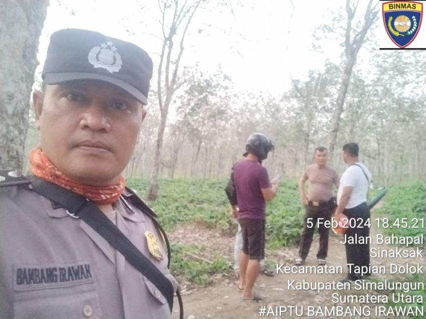 Polsek Serbalawan Grebek Lokasi Peredaran Narkoba di Areal Kebun Karet PT Bridgestone Simalungun