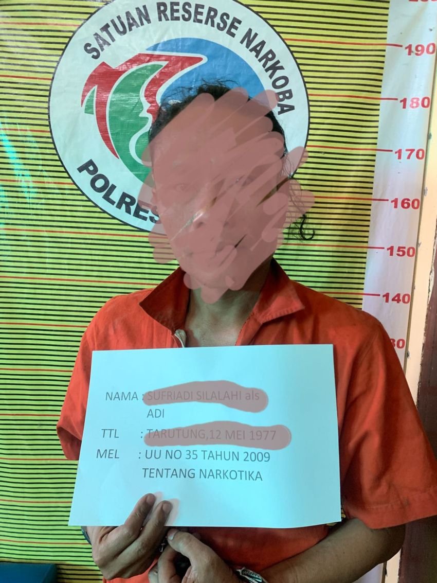 Ketahuan Tanam Ganja, Seorang Warga Simanindo Diamankan Sat Narkoba Polres Samosir