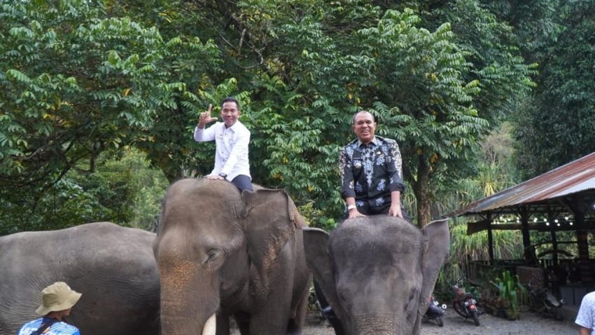 Pj Bupati Langkat Ingin Wisata Tangkahan Lebih Harum Di Mancanegara
