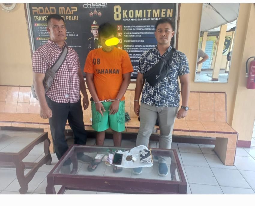 Polsek Serbawalan Tangkap Seorang Penjual Shabu & Ganja di Ladang Sawit