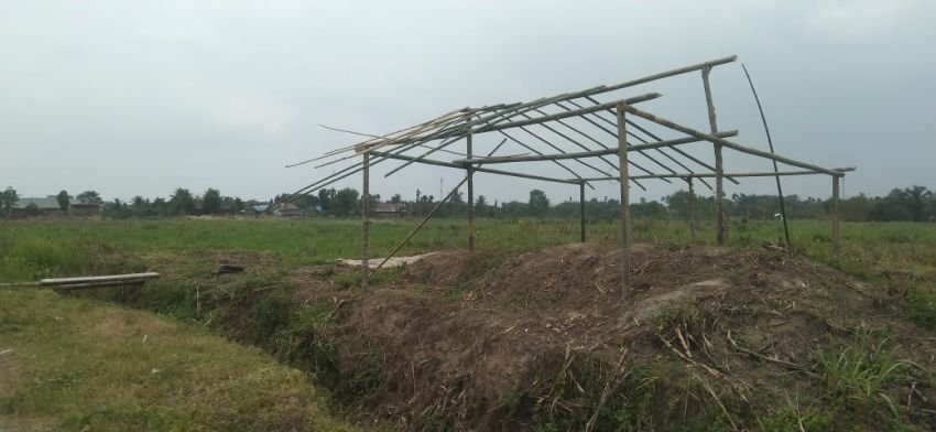 PTPN 1 Regional 1 Kebun Sei Semayang Lakukan Antisipasi Mencegah Masuknya Penggarap ke Lahan HGU