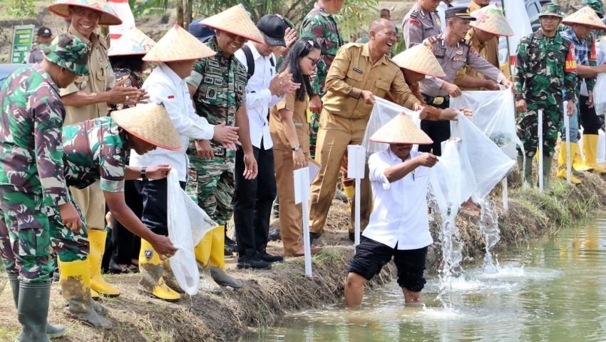 Launching Gerakan Tanam, Wakil Bupati Simalungun Lakukan Tanam Padi Perdana