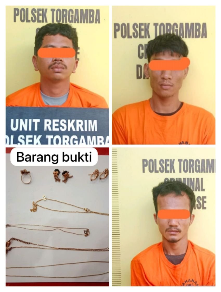 Hendak Kabur ke Medan, Polres Labusel Ringkus Kawanan Maling Pengunjung SPBU di Torgamba LABUSEL