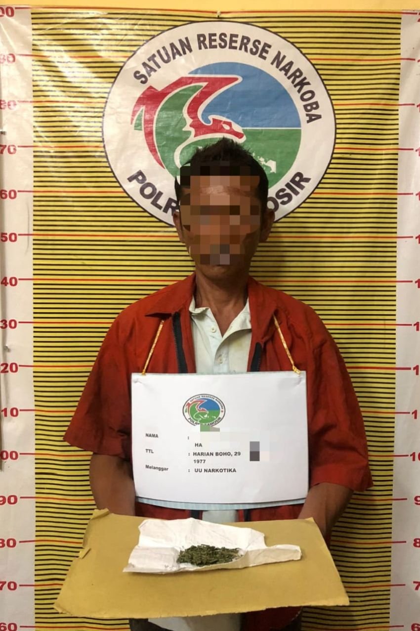 Diduga Miliki Ganja, Seorang Warga Harian Diamankan Sat Narkoba Polres Samosir