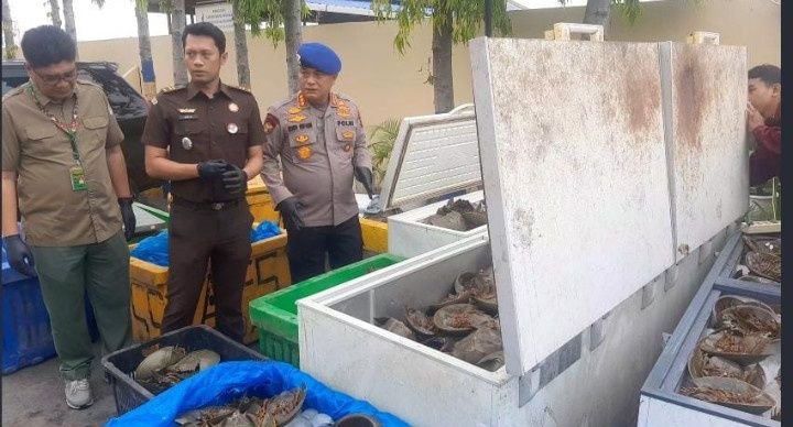 Dirpolairud Polda Sumut Gagalkan Penyeludupan Ribuah Ekor Belangkas