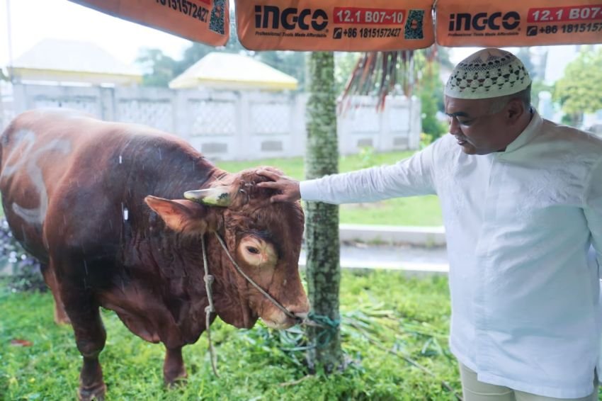 Prabowo Kurban Lembu 1 Ton ke Mesjid Rwya Al Mashun Medan