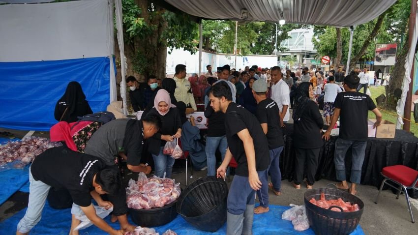 Idul Adha 1445 Hijriah, Pertamina Patra Niaga Regional Sumbagut Salurkan 127 Hewan Kurban