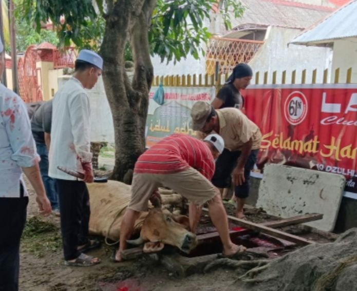 Ladon Sembelih 8 Hewan Kurban : Jadikan Momentum Idul Adha Untuk Berbagi ke Sesama