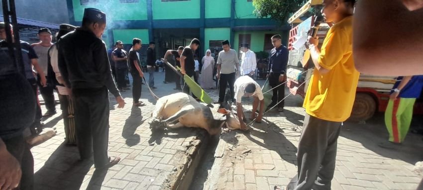 MAN 2 Model Medan Sembelih 6 Ekor Lembu dan 4 Ekor Kambing