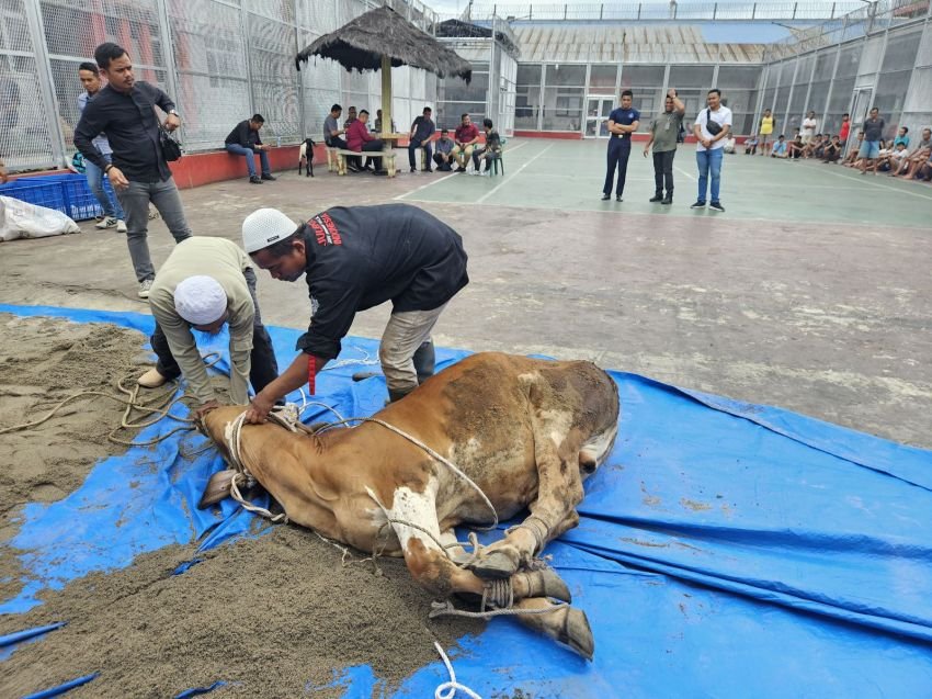 Kadivpas Hadiri Penyembelihan Hewan Qurban di Lapas Pancur Batu
