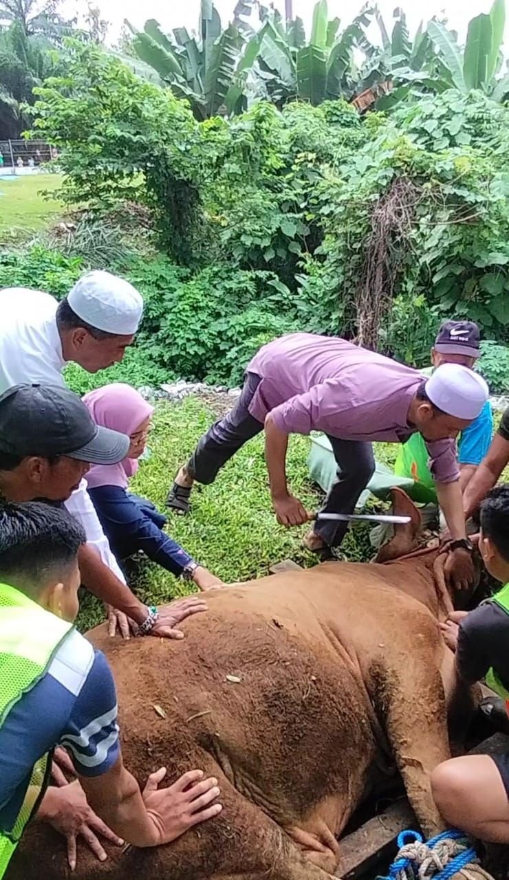 Hari Raya Idul Adha 1445 H, PTPN 1 Regional 1 Sembelih 15 Ekor Sapi dan 2 Ekor Kambing
