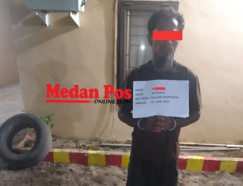 Polsek Bilah Hilir Amankan Pencurian Buah Kelapa Sawit Milik PT Pangkatan Indonesia