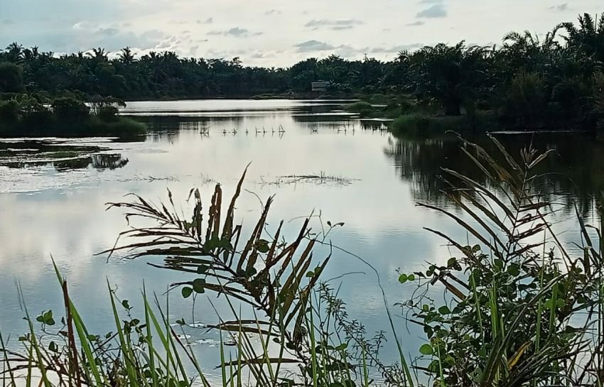 Pasca Penambangan Pasir Kuarsa, Kades Gambus Laut Minta Segera Direklamasi