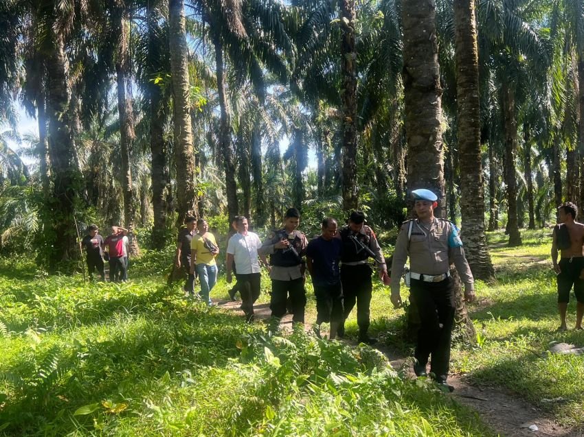 Polres Labusel GKN di Perkebunan Sawit Sisumut,  Seorang pengedar sabu diamankan