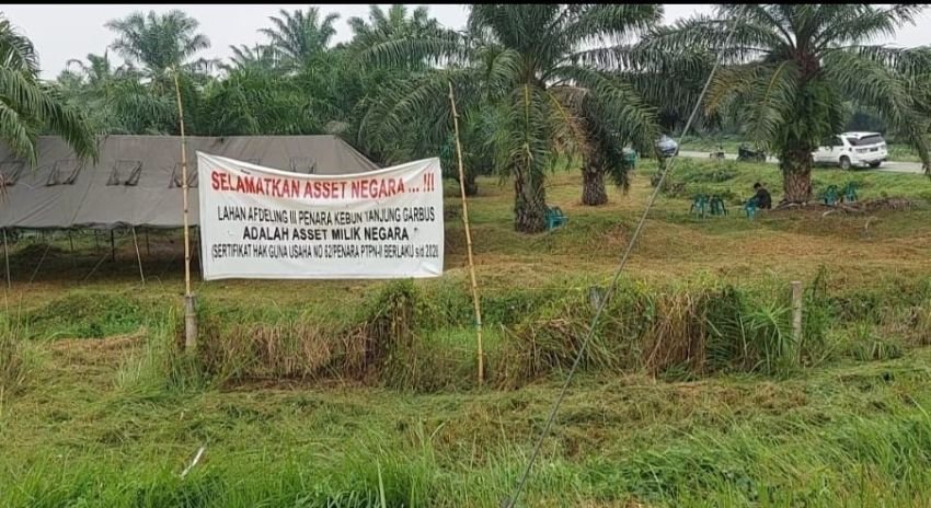 Peran Mafia Tanah di Atas Areal HGU No. 62 Kebun Penara PTPN I