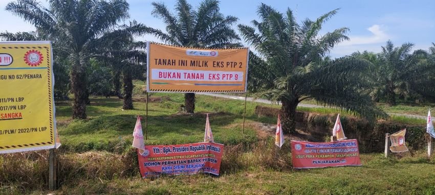 Asset Negara Kebun Penara PTPN II Beralih Ke Mafia Tanah ?