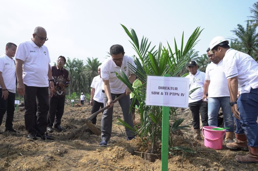 PTPN IV Regional I Realisasikan 744,93 Ha Lahan Peremajaan Sawit Rakyat Sampai Dengan Juli 2024