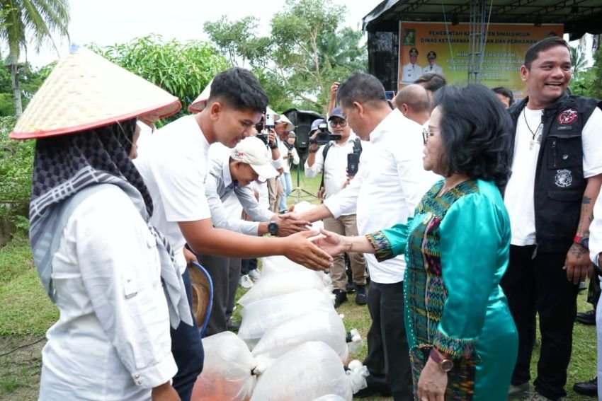 Bupati Simalungun Beri Bantuan Kepada Pengusaha
