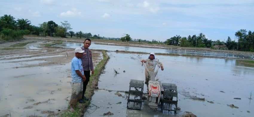 Dalam Rangka 100 Hari Kerja Presiden, Polsek Medang Deras Binlu Kegiatan Kelompok Tani Peternakan