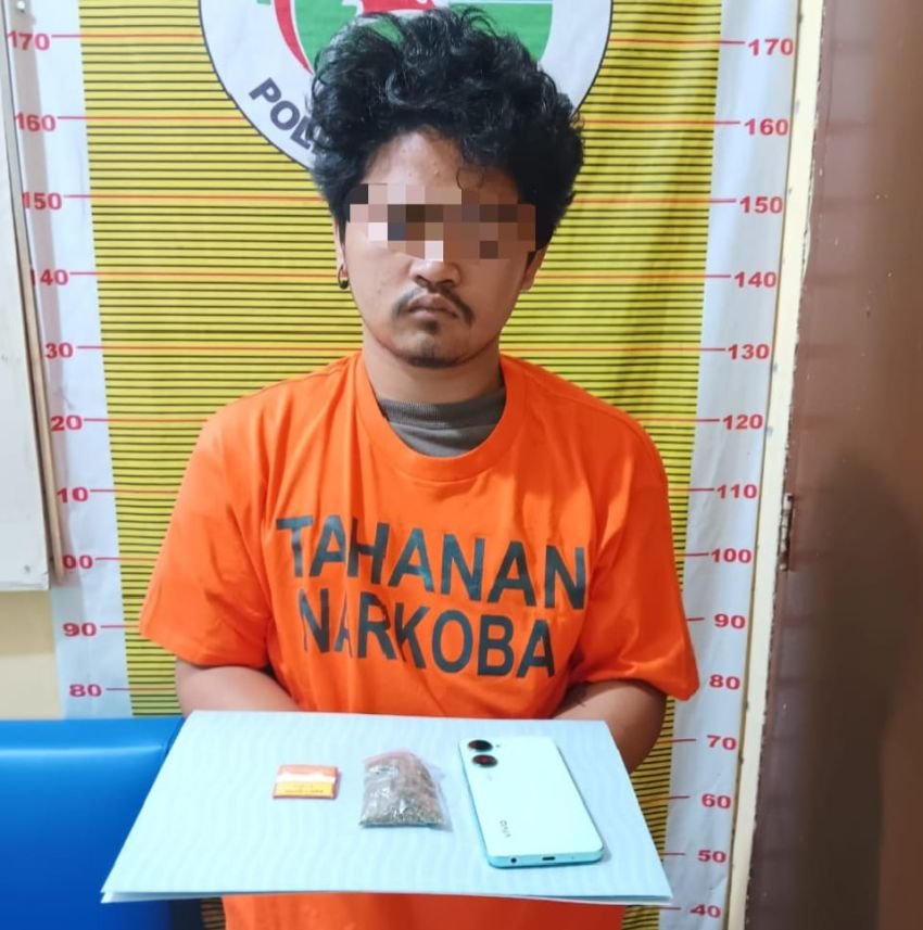Santai Duduk di Warung Tuak, Pemilik Diduga Narkotika Jenis Ganja Ditangkap Sat Resnarkoba Polres Samosir