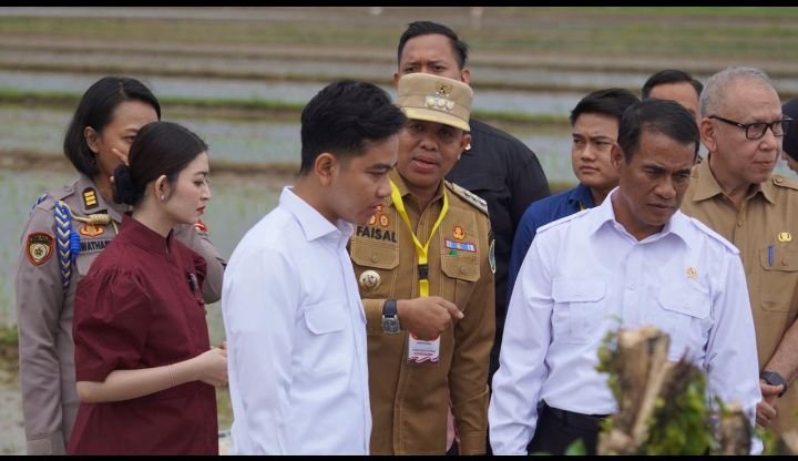 Wapres Gibran Kunjungi Sirapit Langkat: Pj Bupati Langkat Sambut Percepatan Gerakan Tanam Padi