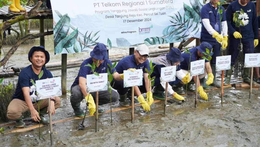 Telkom Regional 1 Tanam 5.000 Bibit-bibit Mangrove di Desa Tanjung Rejo