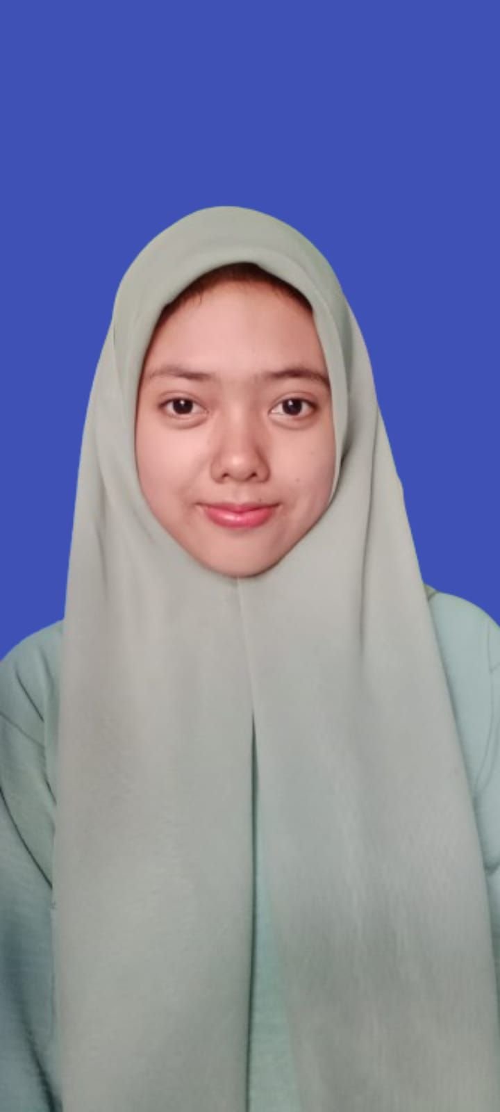 Literasi Digital Sebagai Upaya Preventif Menanggulangi Hoaks