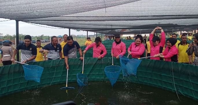 Dukung Program Makan Bergizi Gratis, Polda Sumut Makan Bersama Dan Panen Perdana Ikan Lele