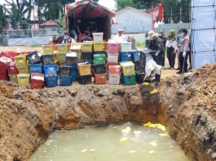 Polda Sumut Tangkap Truk Bawa Mangga Asal Thailand Tidak Memenuhi Standar Kesehatan