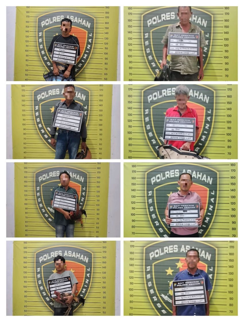 Polres Asahan Gerebek Arena Sabung Ayam, Delapan Pria Diamankan