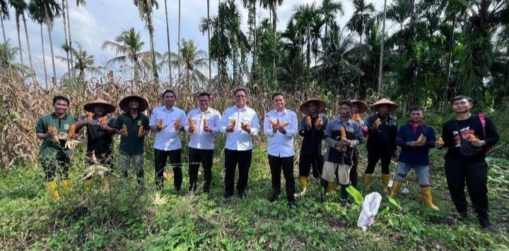 Lapas Pancur Batu Gelar Panen Raya Jagung
