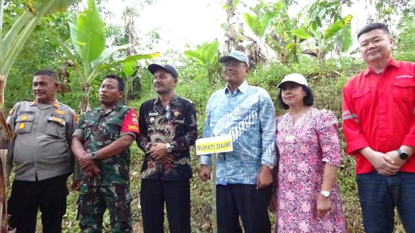 PT DPM Serahkan 10 Ribu Bibit Pohon Kemiri kepada Masyarakat Dairi