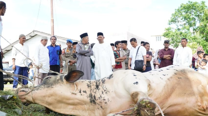 Bupati Langkat, XL Smart Bersama PFI Medan Berkurban dan Berbagi di Kampung Kasih Sayang Langkat