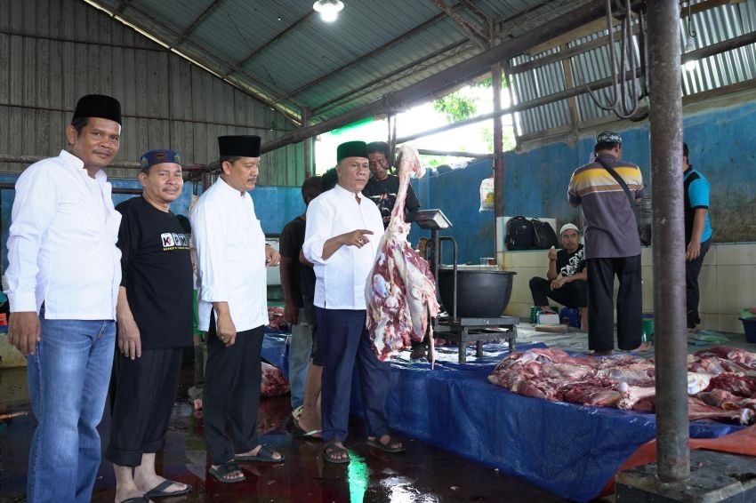 Kanwil Kemenagsu Sembeli 7 Ekor Hewan Kurban