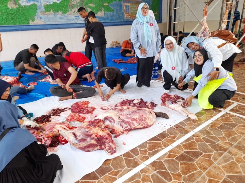 Idul Adha 1146 H,&nbsp; IKAL SMAN 6 Sembelih 8 Hewan Qurban, Seluruh Siswa Guru dan ASN Dapat Daging