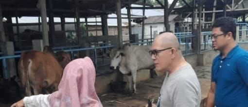 Idul Adha, IKAL SMA Negeri 6, Sembelih 7 Lembu dan 1 Kambing