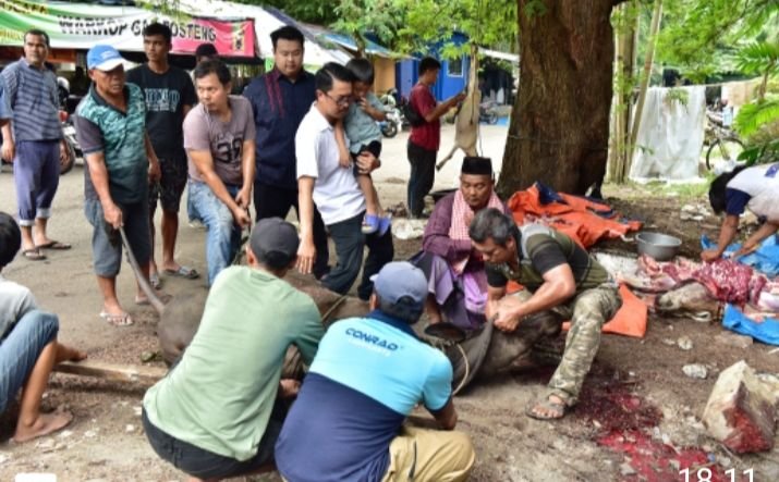 Pemuda ICMI Orwil Sumut Qurban Bersama Jurnalis Kota Medan
