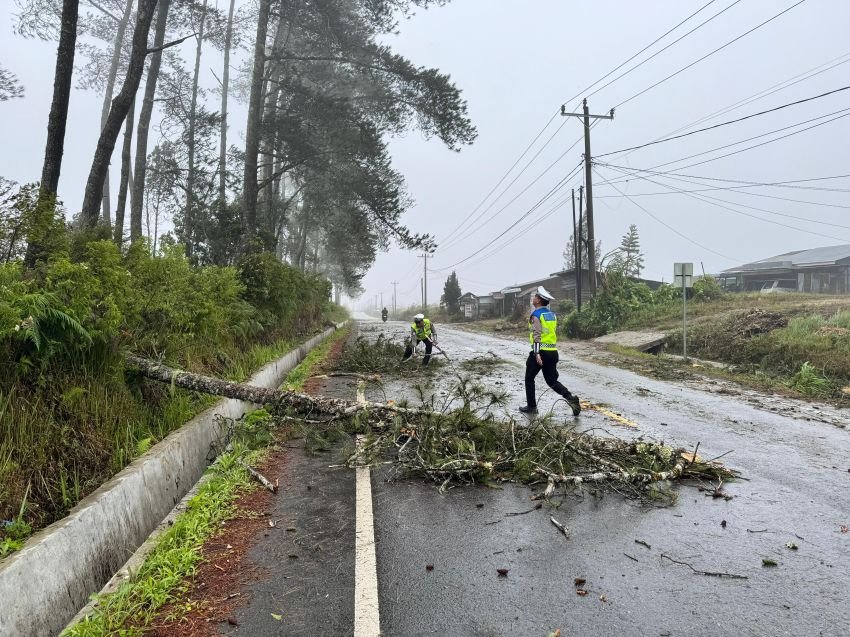 Satlantas Polres Samosir Bersihkan Pohon Tumbang di Jalan Umum Dolok Sanggul - Sidikalang