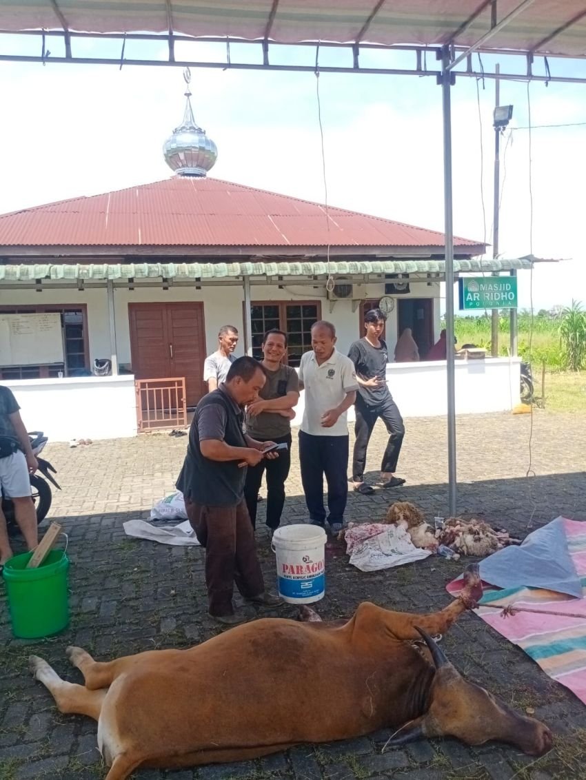 Jama'ah Masjid Ar Ridho Polonia Rayakan Idul Adha, Sembelih 7 Ekor Lembu dan Kambing