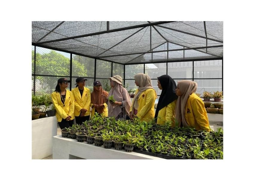 Program MBKM-MAGANG : "Pengembangan Benih Hortikultura Unggul, Dalam Pemuliaan Tanaman di UPTD BIH Gedung Johor" Mahasiswa Program Studi Agroteknologi