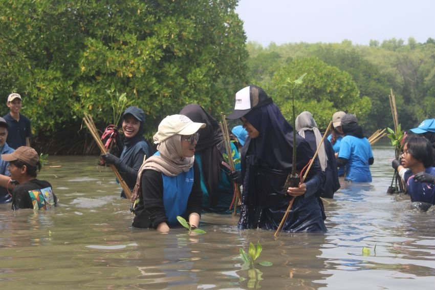 Debut di THE Impact Rankings, Komitmen UPER Pada Pembangunan Berkelanjutan