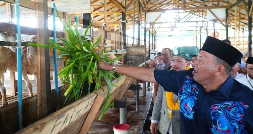 Syah Afandin Targetkan Balai Ternak Baznas Hingga ke Kecamatan untuk Bangkitkan Ekonomi Masyarakat
