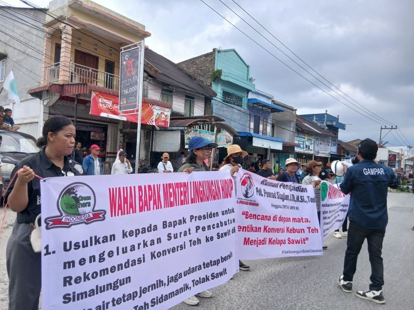 Massa Simalungun Bergerak, Anggota DPD Penrad Siagian Tuntut PTPN IV Tak Ubah Kebun Teh Jadi Sawit
