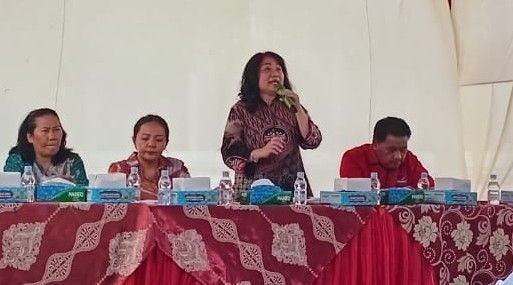DR. Lily, MH Minta Pemko Terapkan Perda No. 2/2024 Dengan Maksimal