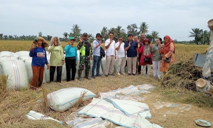 Seluruh Cabang Perum BULOG Kanwil Sumut Terima Pembelian GKP Petani Harga Rp 6.500/Kg