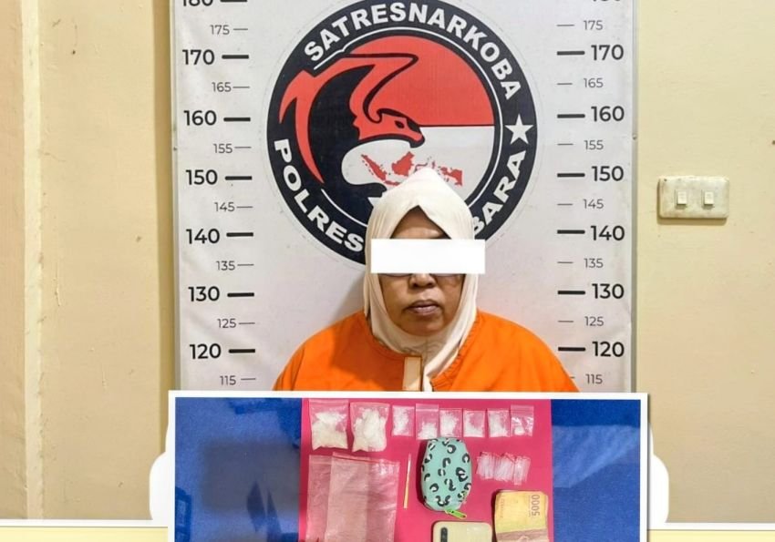Miliki 6 Bungkus Sabu Seberat 24 Gram, Seorang IRT Ditangkap di Medang Deras
