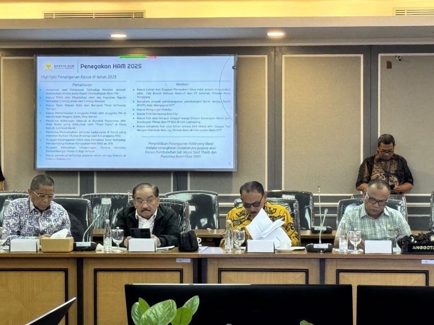 Maruli Siahaan Dorong Komnas HAM dan Komnas Perempuan Saling Melengkapi Dalam Menangani Isu-Isu Strategis