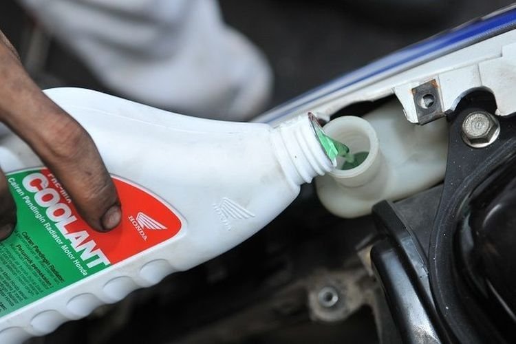Rawat Air Radiator Secara Rutin, Kunci Jaga Performa dan Kenyamanan Berkendara